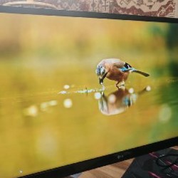 Монитор LG 4k - фото 5