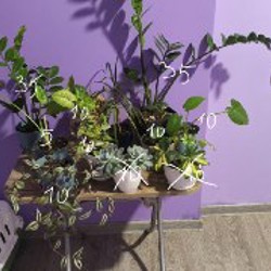 Игрушки - фото 1