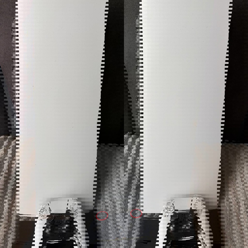 PlayStation 5 DISC VERSION