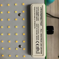 GrowBox - фото 3