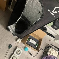 GrowBox - фото 9