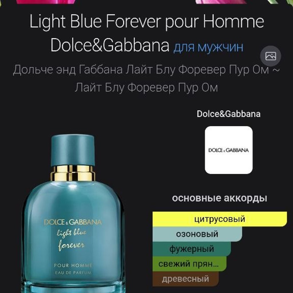 Dolce Gabbana Light Blue Forever
