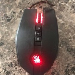 Мышка - фото 2