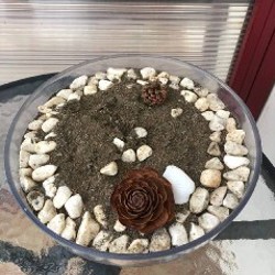 Горшочек прозрачный - фото 2