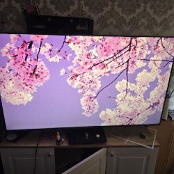 Телевизор TCL C755 55 дюймов - фото 2