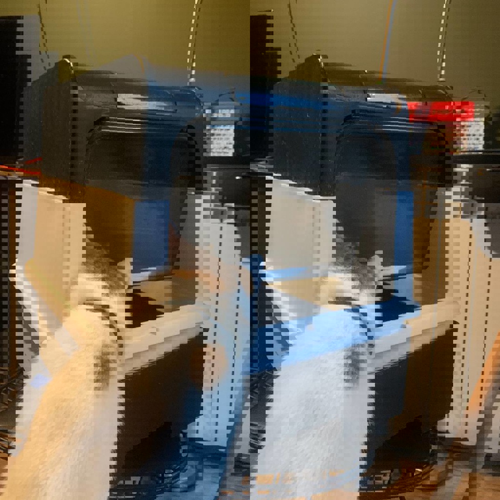 Закрытый кошачий лоток