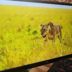 IPS монитор LG 4к 24' 60Гц - фото 3