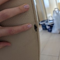 Кресло - фото 5