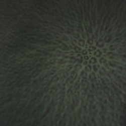 Диван - фото 2