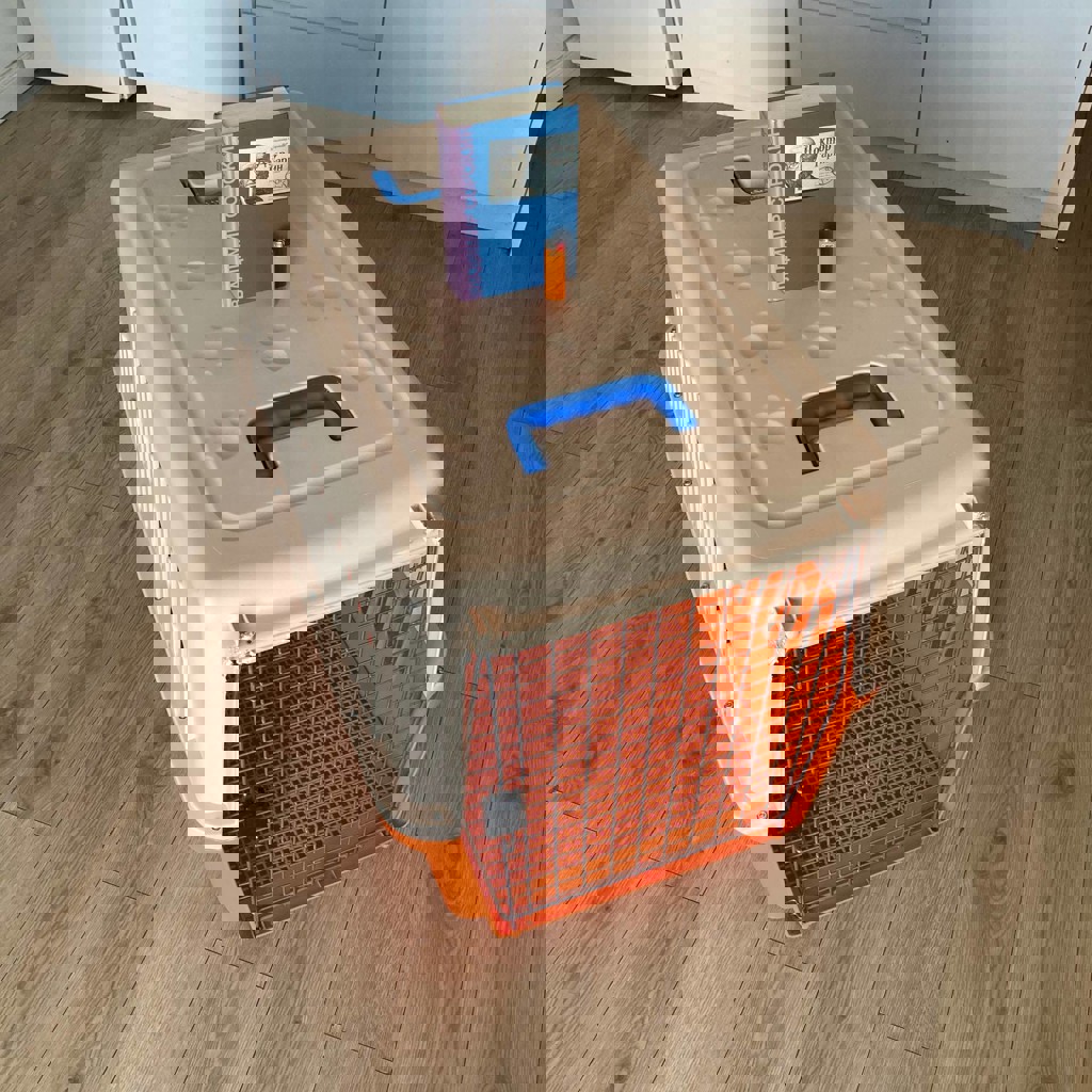 Контейнер для собаки