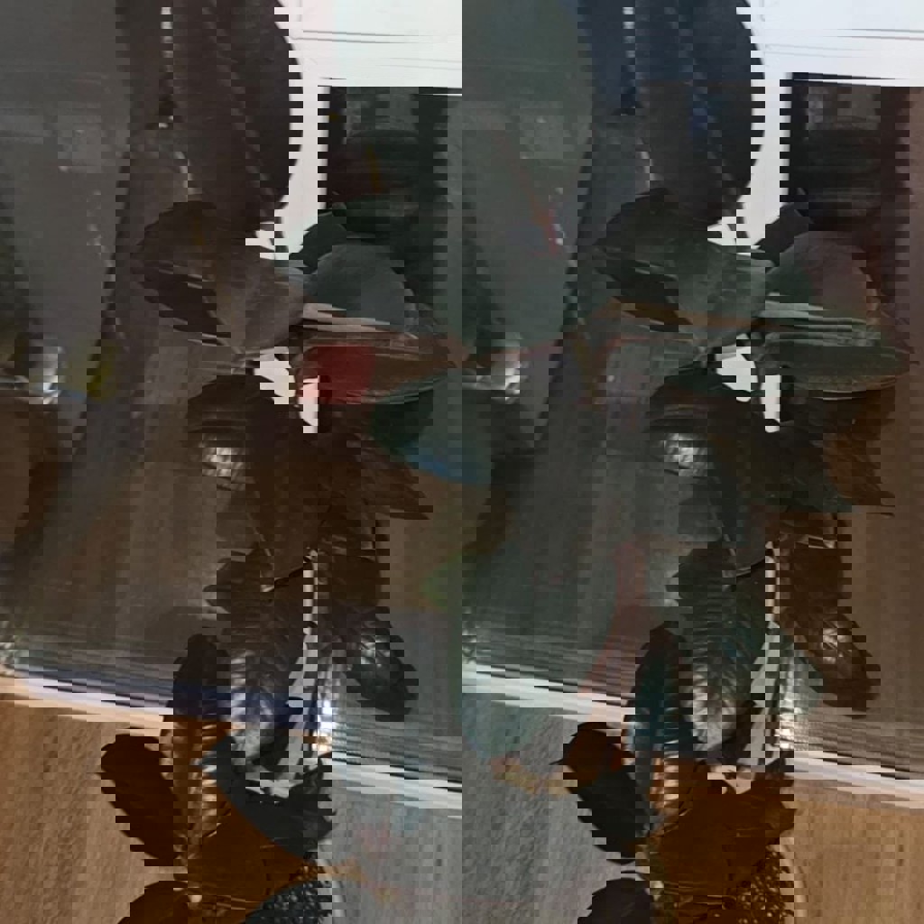 Денежное дерево