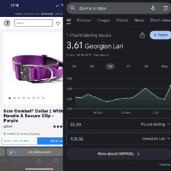 Ошейник Bullybillows Combat Collar - фото 2