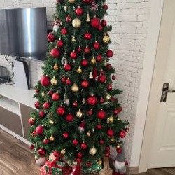 Ёлка - фото 2