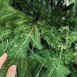 Шикарная ёлка - фото 5