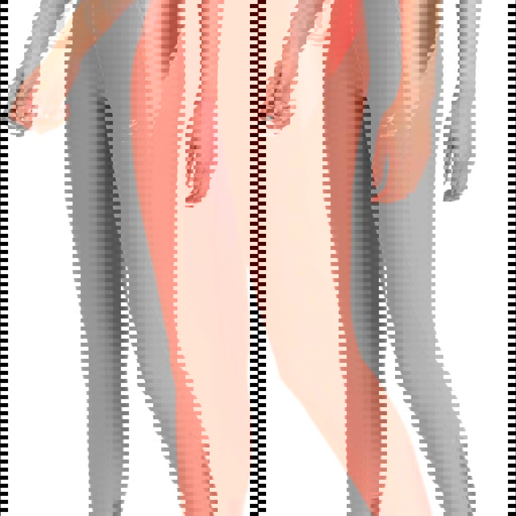 Лосины Energetics Emilia