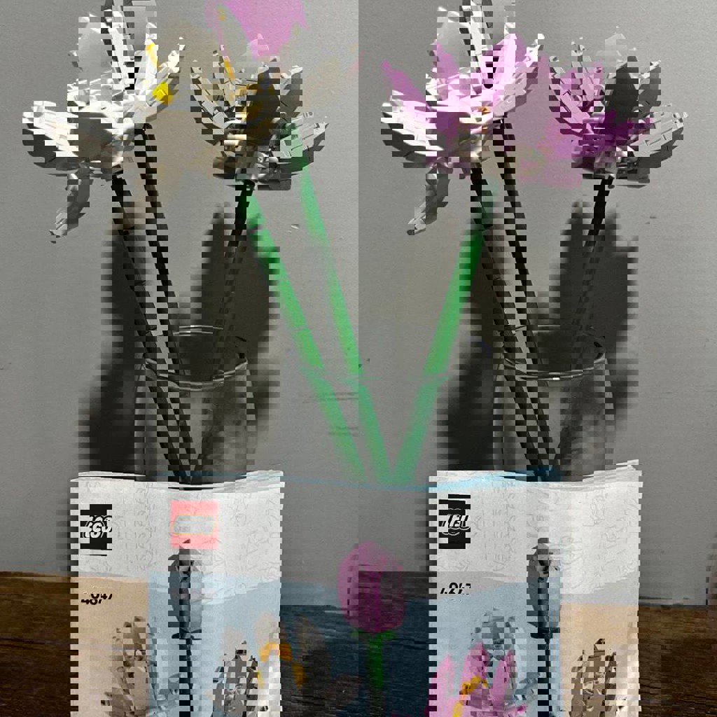 LEGO Friends и LEGO Minecraft