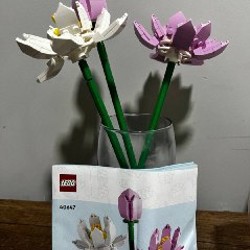 LEGO Friends и LEGO Minecraft - фото 1