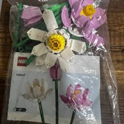 LEGO Friends и LEGO Minecraft - фото 2