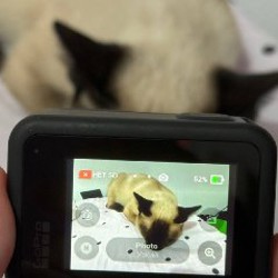 Клавиатура HyperX Alloy Origins 60 - фото 5