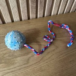 Полотенце для собаки - фото 4