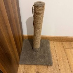 Когтеточка - фото 1