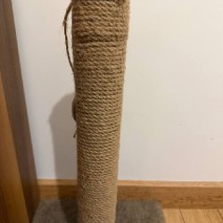 Когтеточка - фото 2