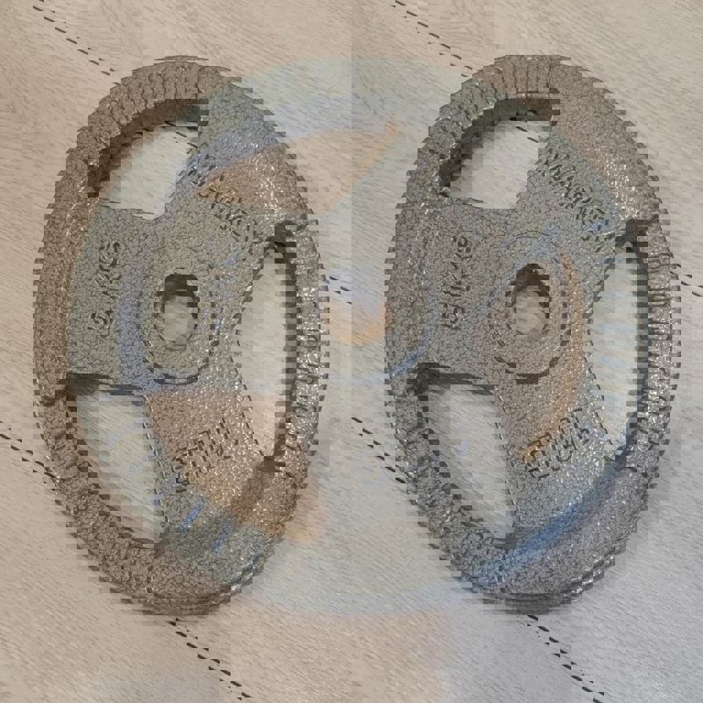 Блин спортивный