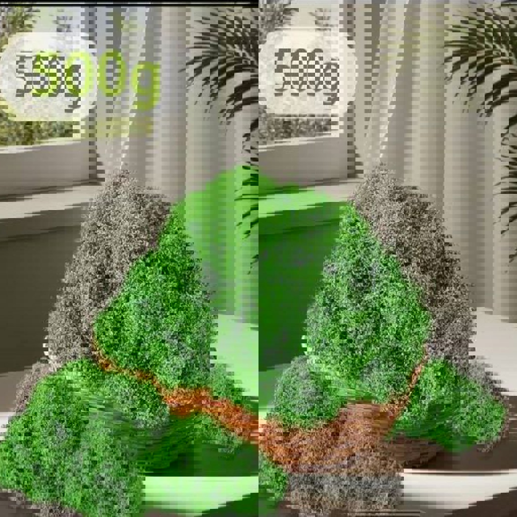 Декоративный мох