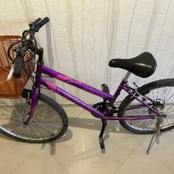 Городской велосипед - фото 3