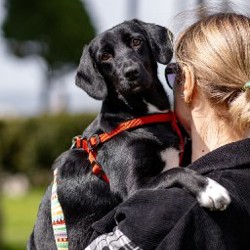 Люся - фото 2