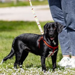 Люся - фото 3