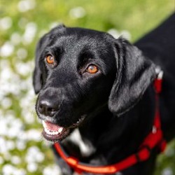 Люся - фото 4