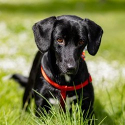 Люся - фото 5