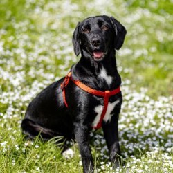 Люся - фото 7
