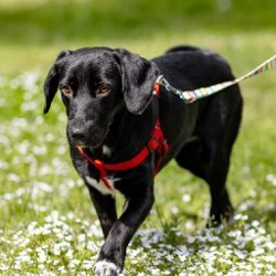 Люся - фото 8