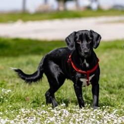 Люся - фото 9