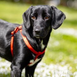 Люся - фото 10