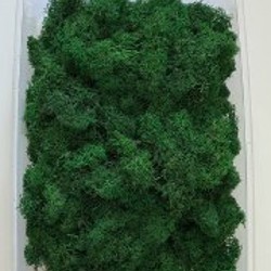 Стабилизированный мох флористический - фото 4