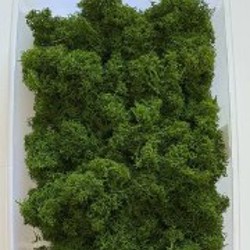 Стабилизированный мох флористический - фото 5