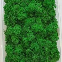 Стабилизированный мох флористический - фото 8