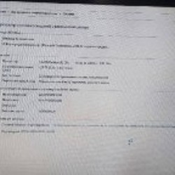 Мышка - фото 2