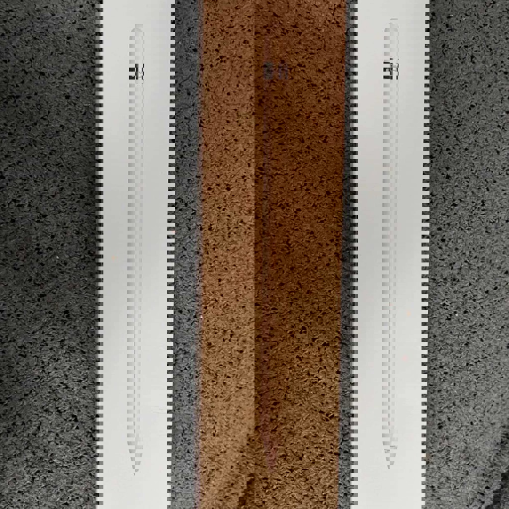 Apple Pencil (1st Generation)