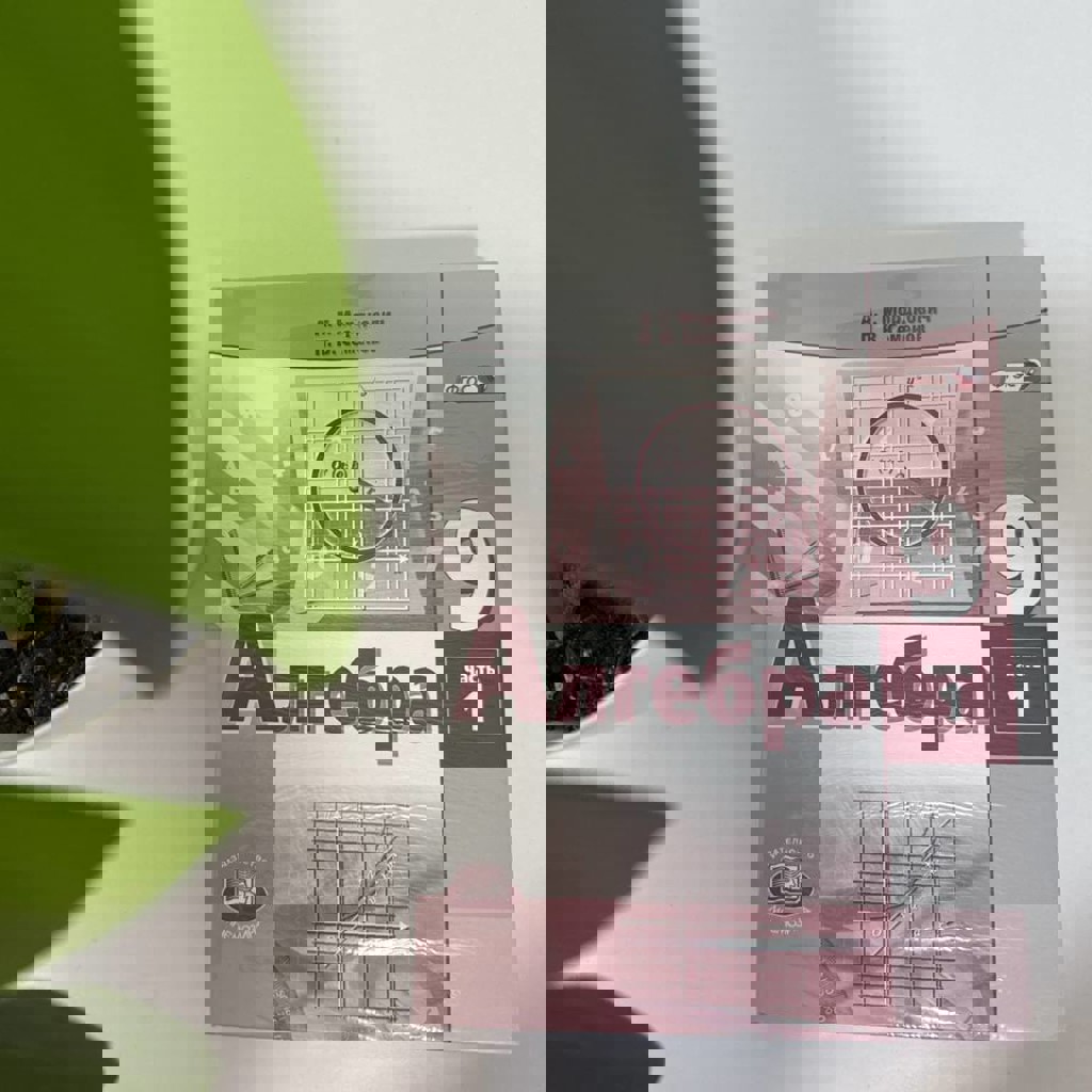 Алгебра в двух частях