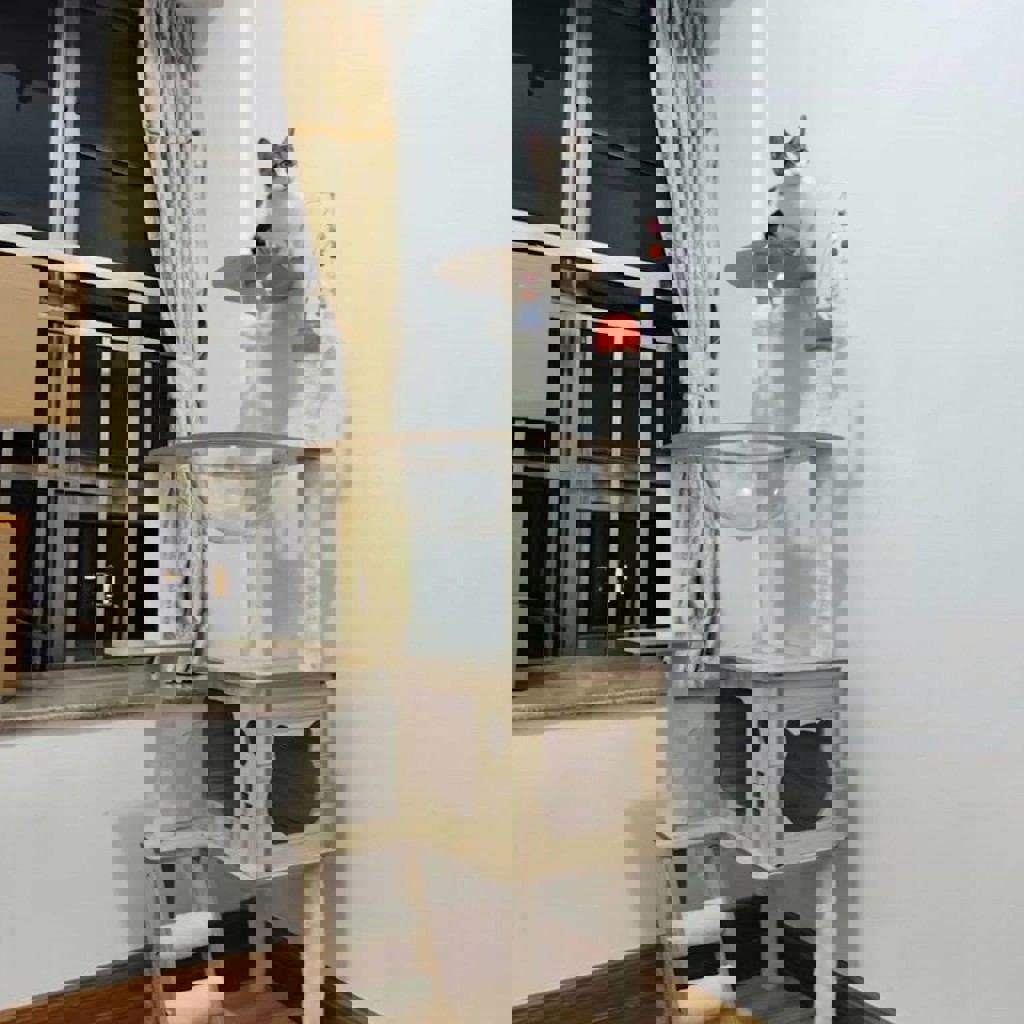 Домик для кошки