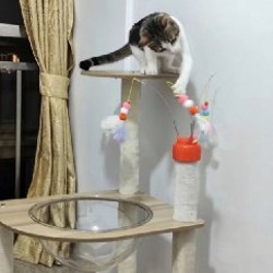 Домик для кошки - фото 3