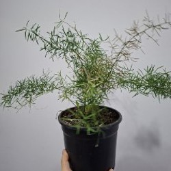 Кружка - фото 1