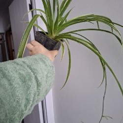 Кружка - фото 3