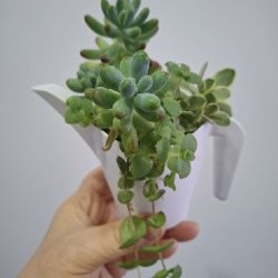 Кружка - фото 6