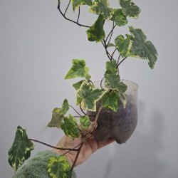 Кружка - фото 7