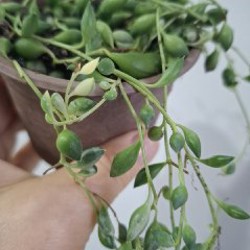 Кружка - фото 8